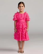 Girls Pink Chiffon High Neck Ruffle Dress